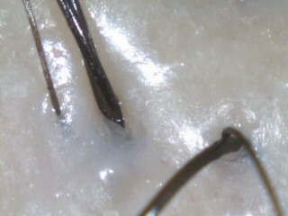 {D0024D9A-54D4-4DE4-A573-631DEA13F5B0:01}
